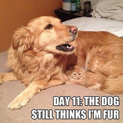 Shhh! Don’t tell.