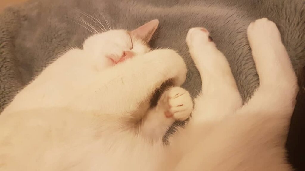 Sleepy.