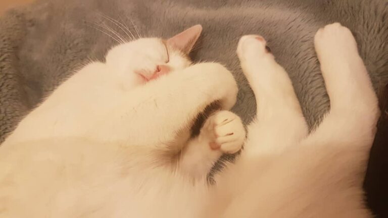 Sleepy.