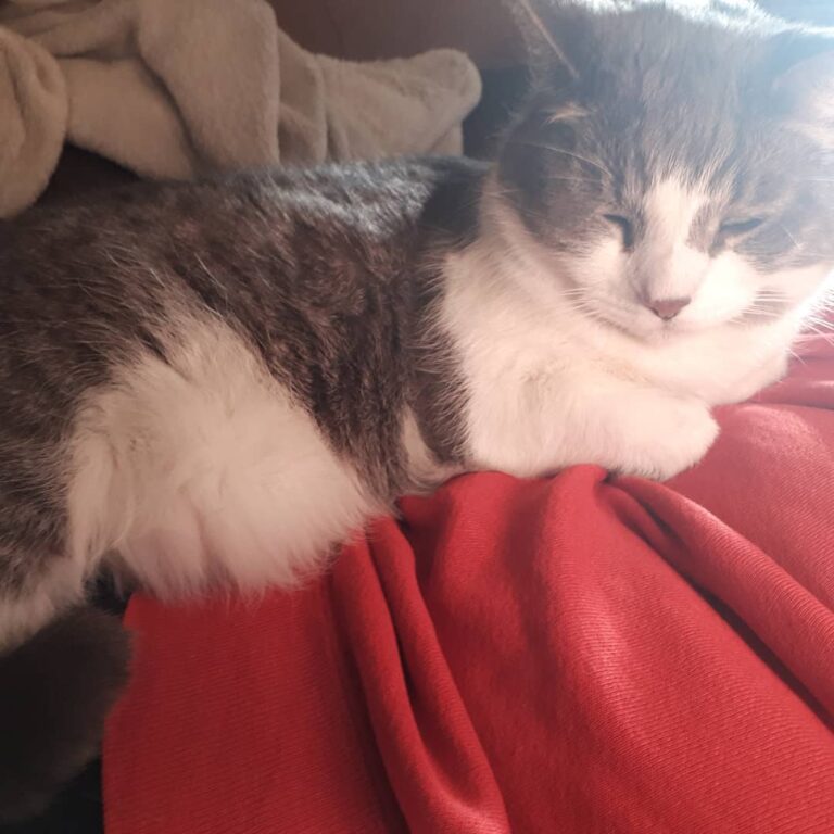 Snuggles while we take a break