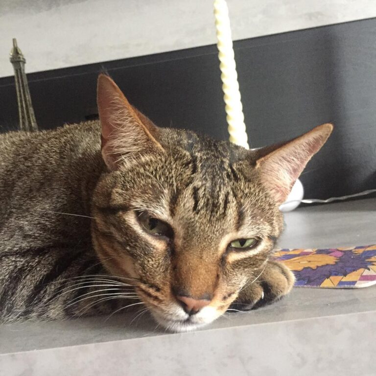 Só pensando na minha gata… Sabadão, ideal pra dar um cheirinho na