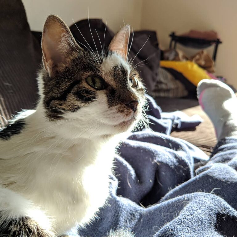 Soaking up the sunshine in her favorite location!