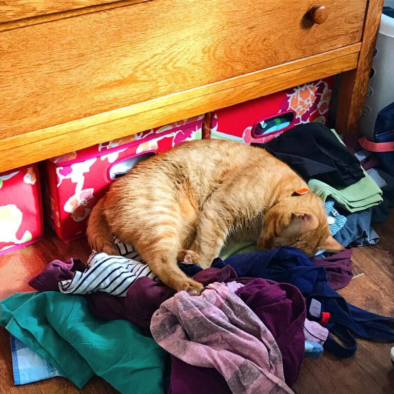 Someone unfolded and rearranged the folded clean clothes to make a