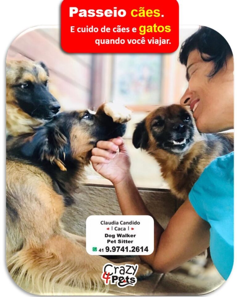 Sou Sou Mais de 5 anos de experiência. Mais de 300 clientes felizes.