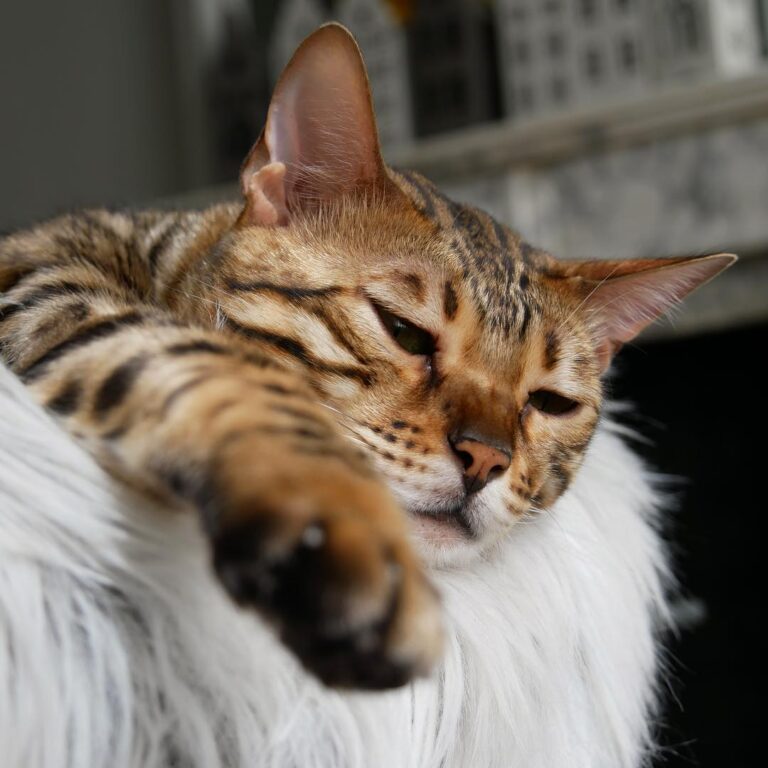 Still feeling sleepy after sleeping