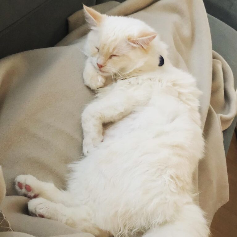 Sweet dreams . . .