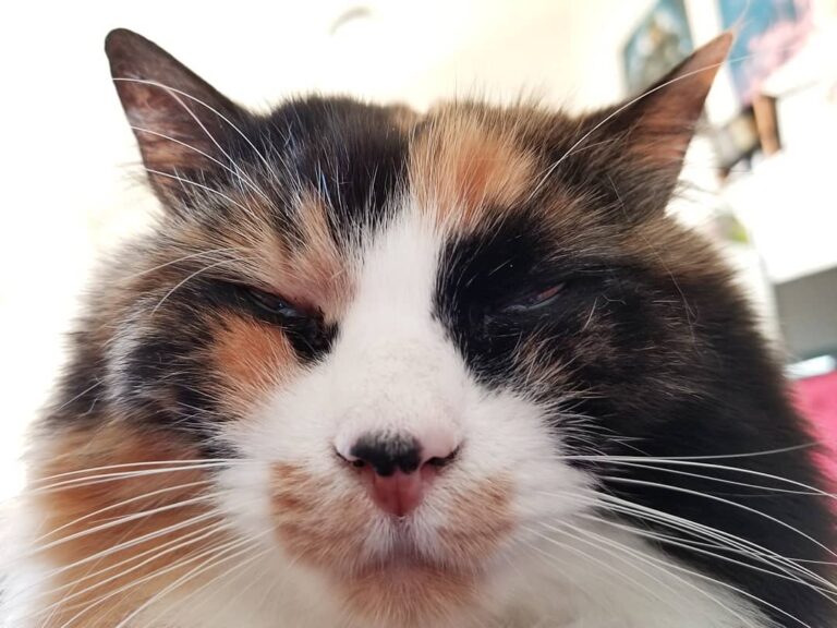 That Saturday morning, post-breakfast face