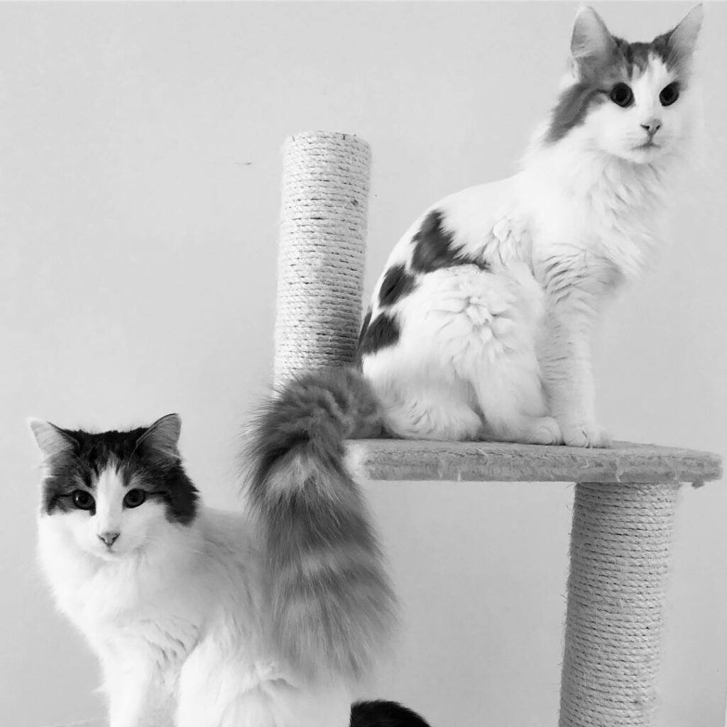 The girlz gang ! Olivia & Orchidée