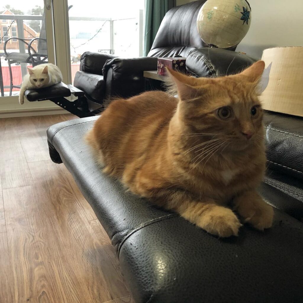 Their finally being nice to each other!