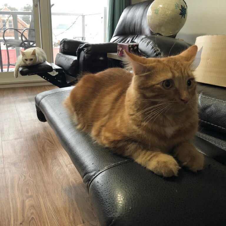 Their finally being nice to each other!