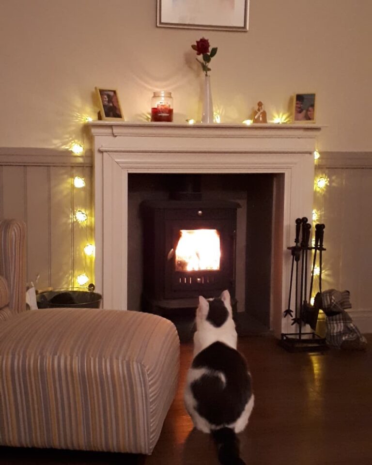 These two love a quiet weekend at home