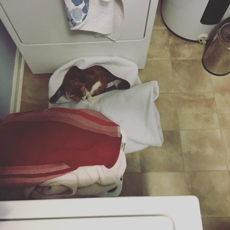 This is how our Winifred Burkle helps with laundry, as says, like a