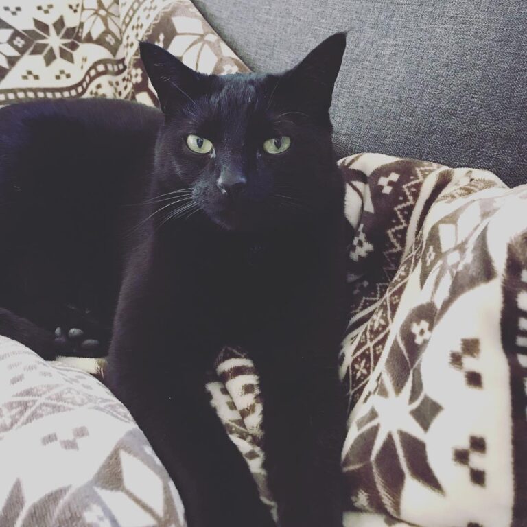 Today is this sweet girl’s Gotcha Day. Two years ago today she came