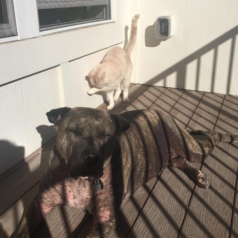 Trying to get the kids to take a decent picture
