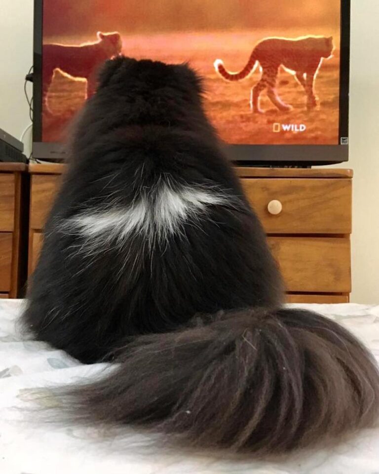 Tv time photo by #