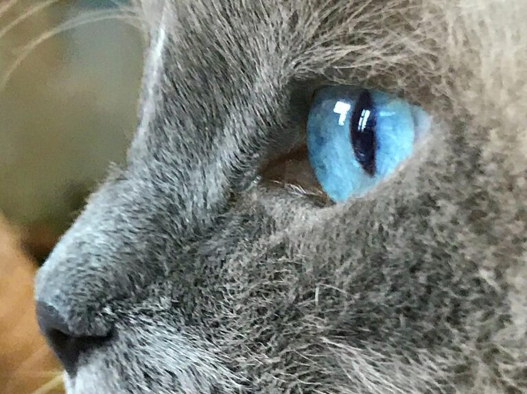 Up close and personal. * * * * *
