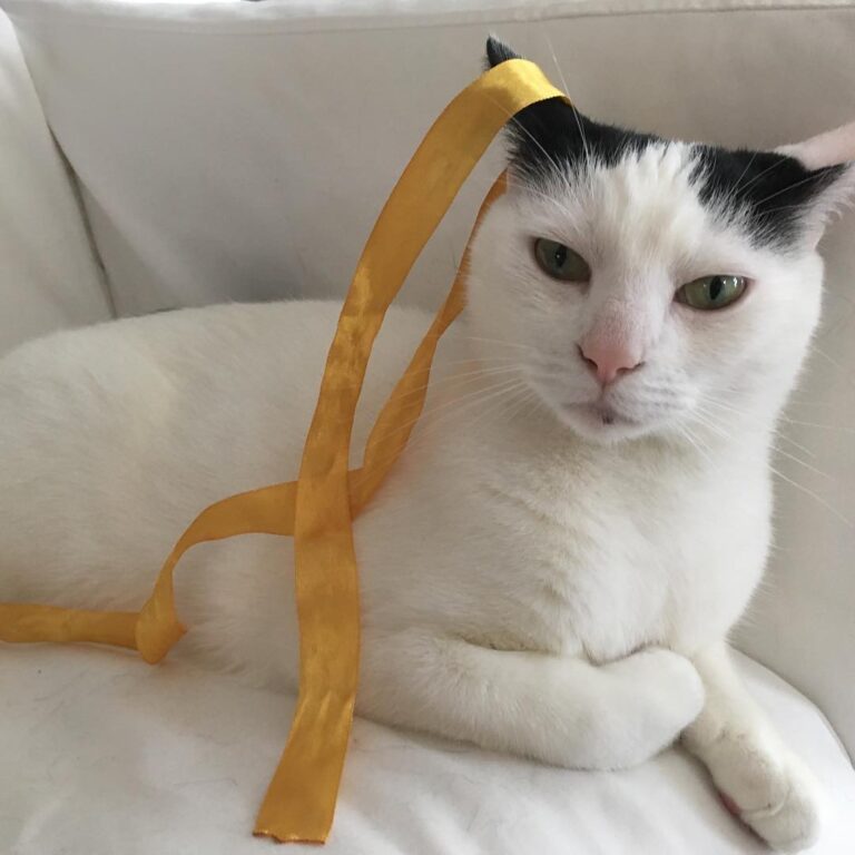 We are not amused.