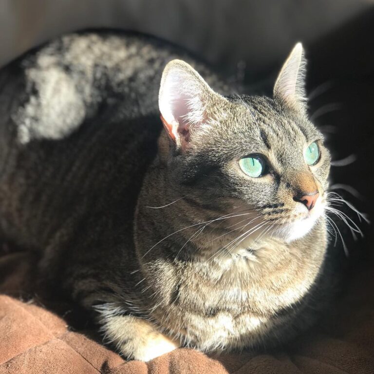 We’ve had so many rainy days that I’ve lost count. But, the sun is