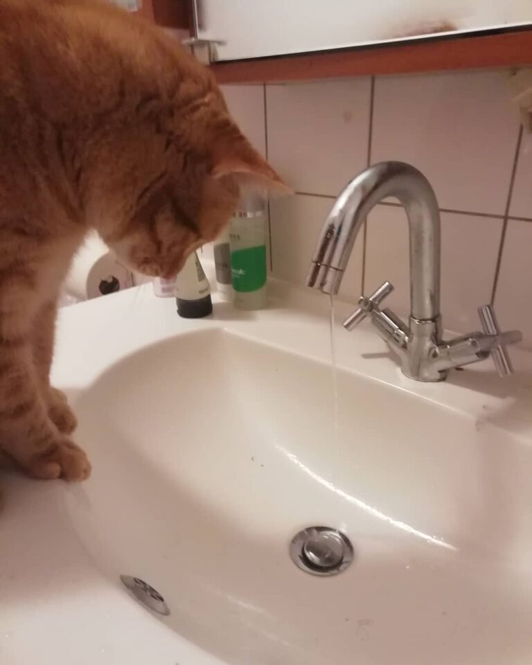 Who else loves to play with water? . . .