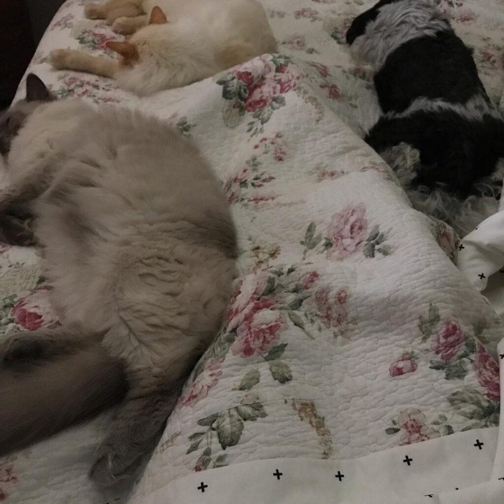 Why do I get the feeling there isn’t room in this bed for me?