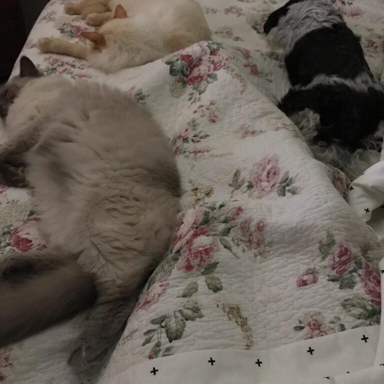 Why do I get the feeling there isn’t room in this bed for me?