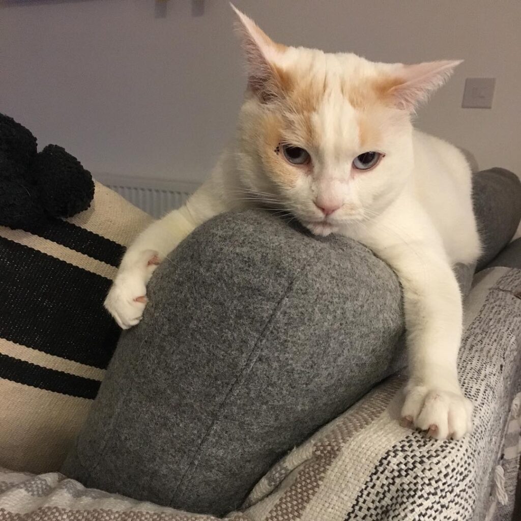 You’ve got crap in your eye. Lounging after a really hard day at the