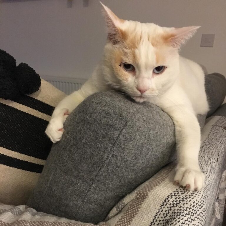 You’ve got crap in your eye. Lounging after a really hard day at the