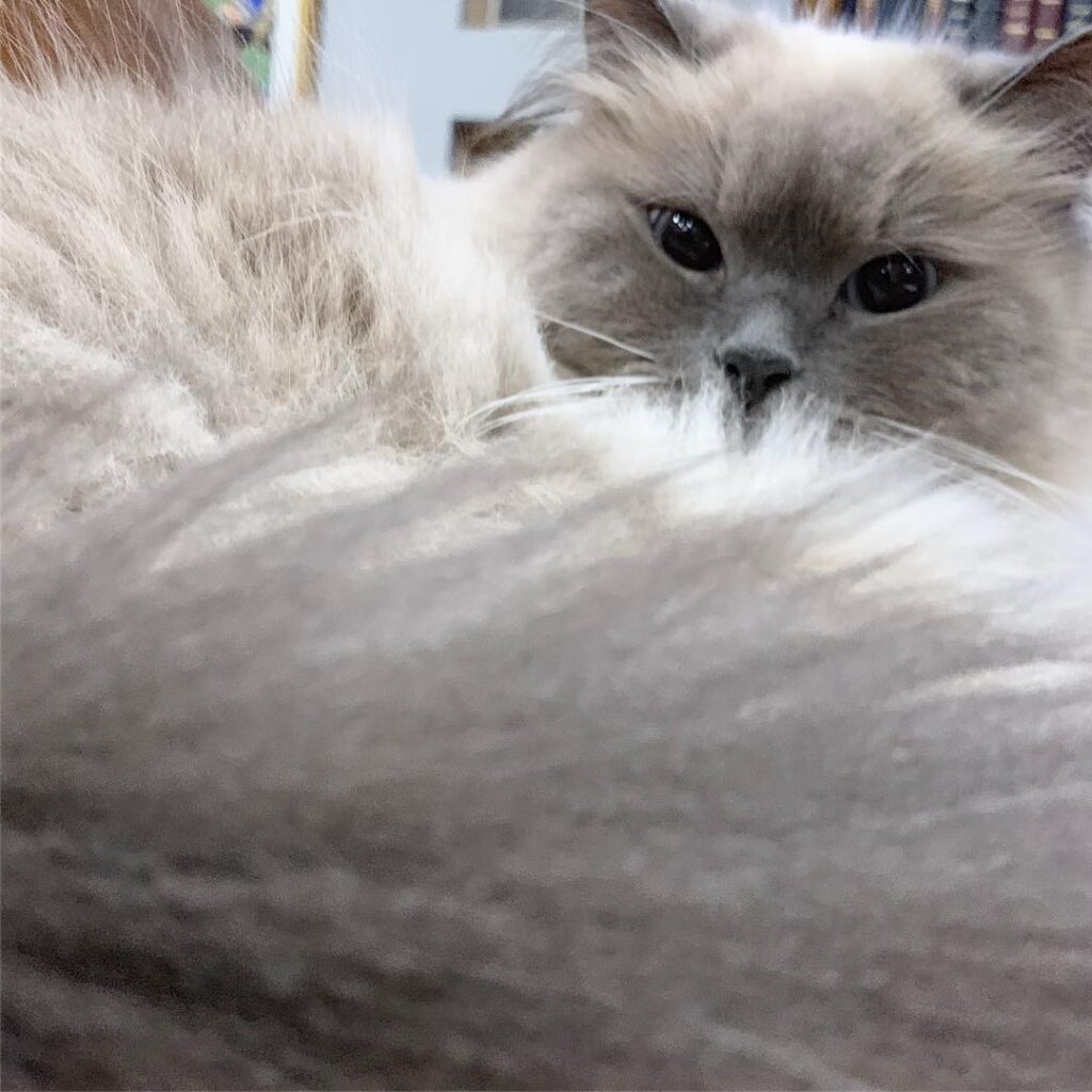 • • •