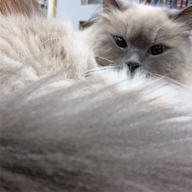 • • •