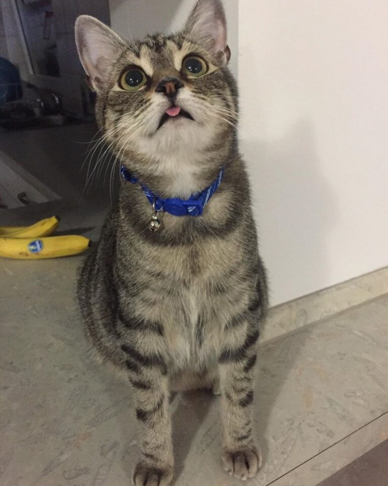 Dad says my bleps are the cutest