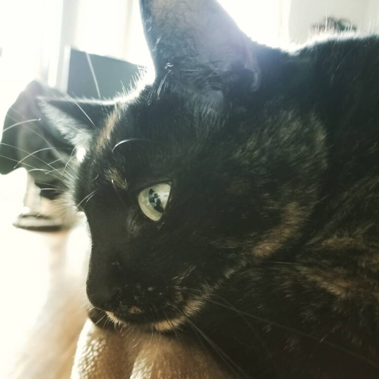 Deep thoughts