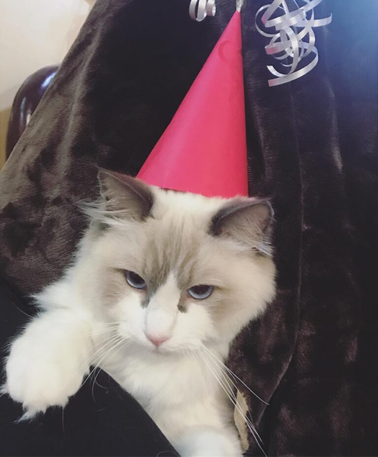Happy birthday to me