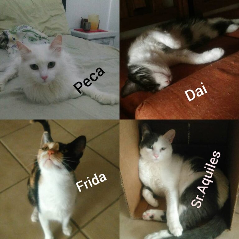 • • •