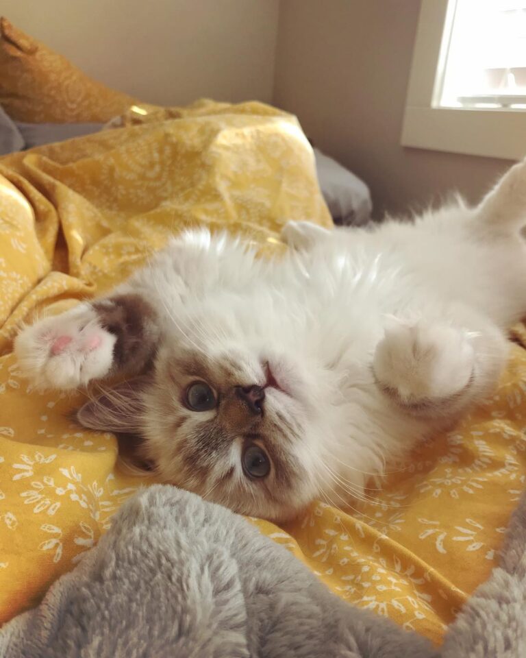 My silly baby • • • •