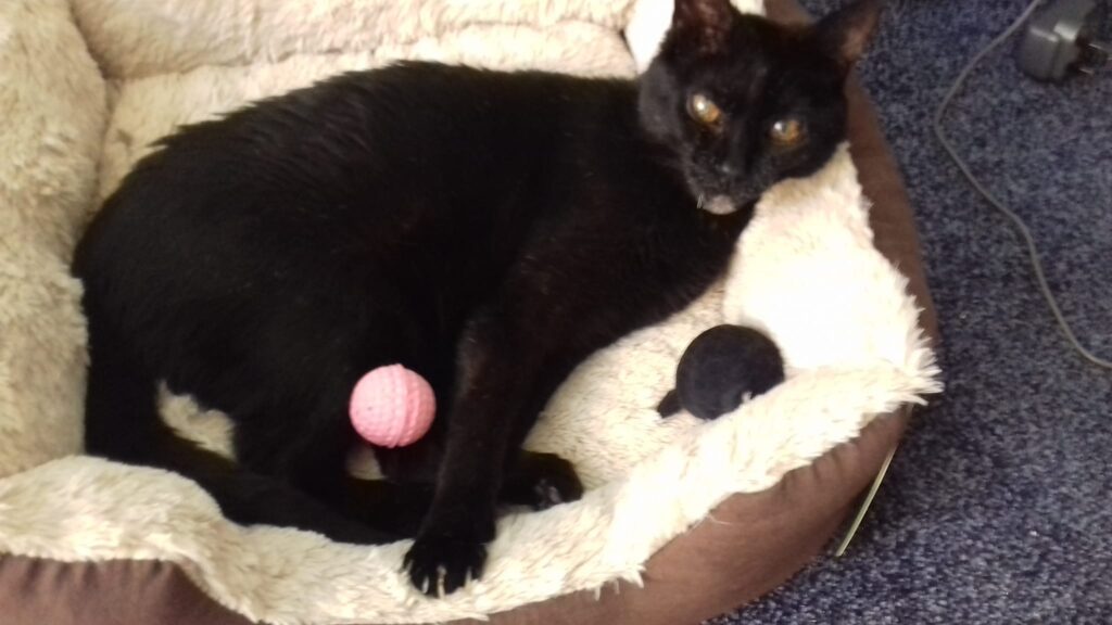 TC has just joined the group. He's 14 and deaf. He says hello to all his new fou