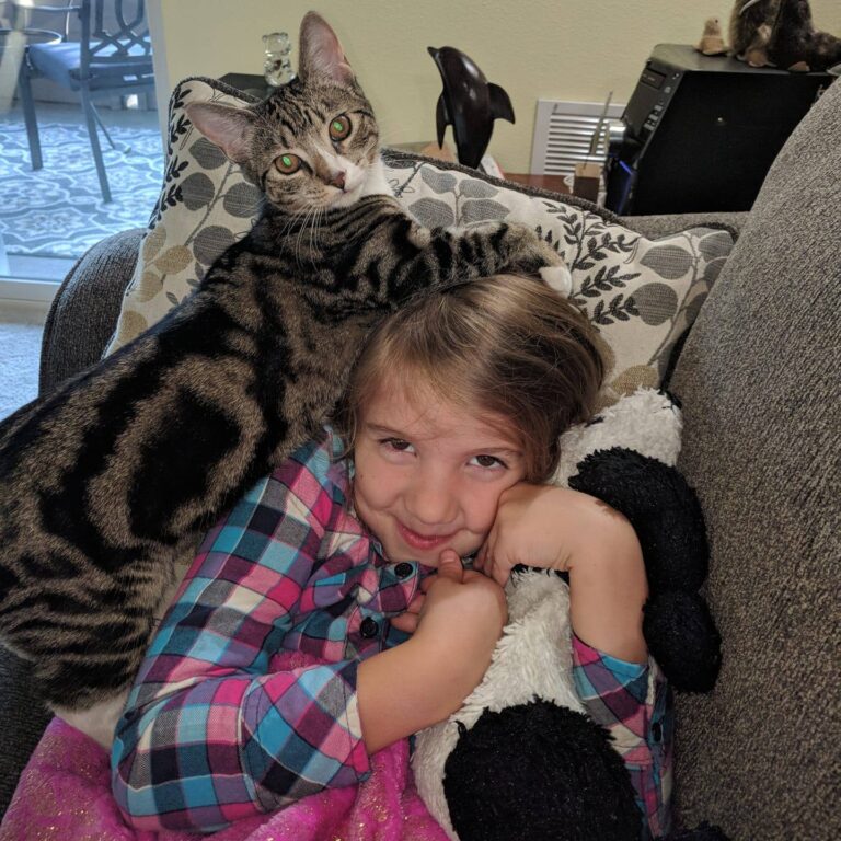 Daisy likes my granddaughters head