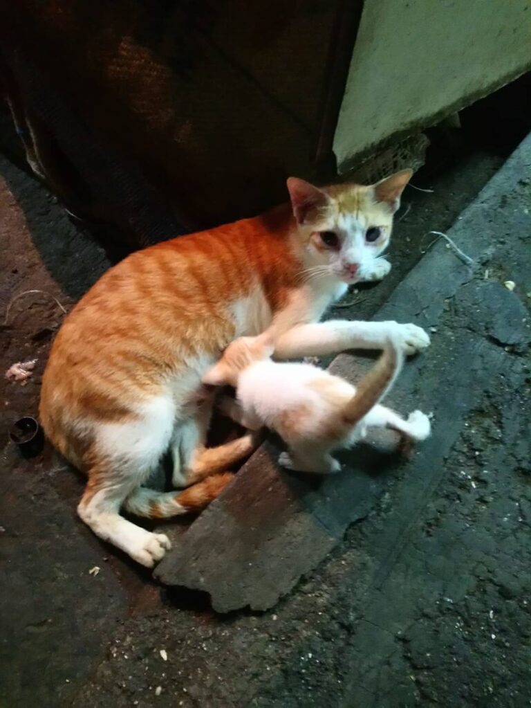 Don't Disturb us.. We are busy