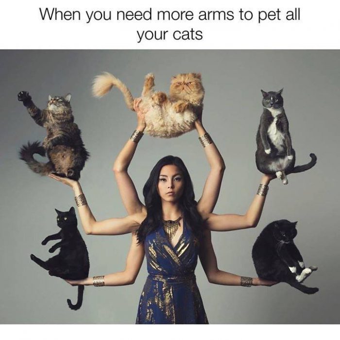 Credit @AnnaAkana