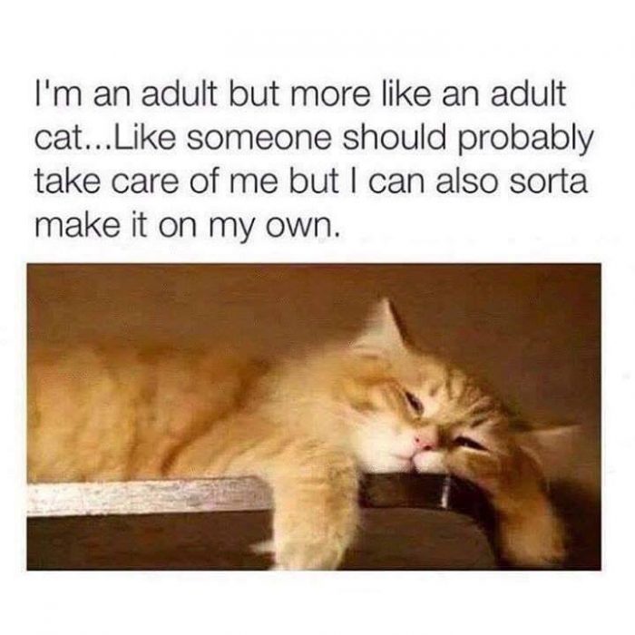 Relatable