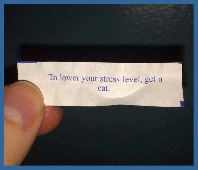 Oh, I will.