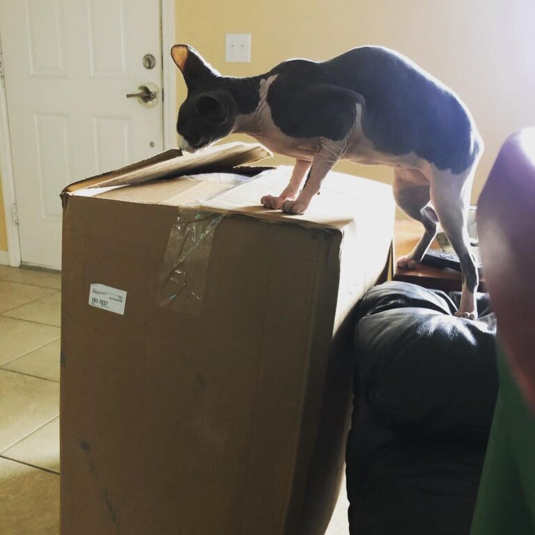 Another box in the mail for me! My mom and dad must love me!