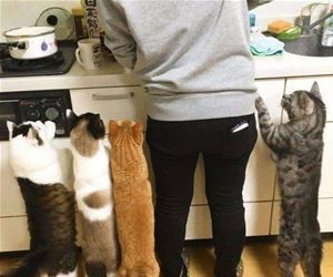 Can We Have Some