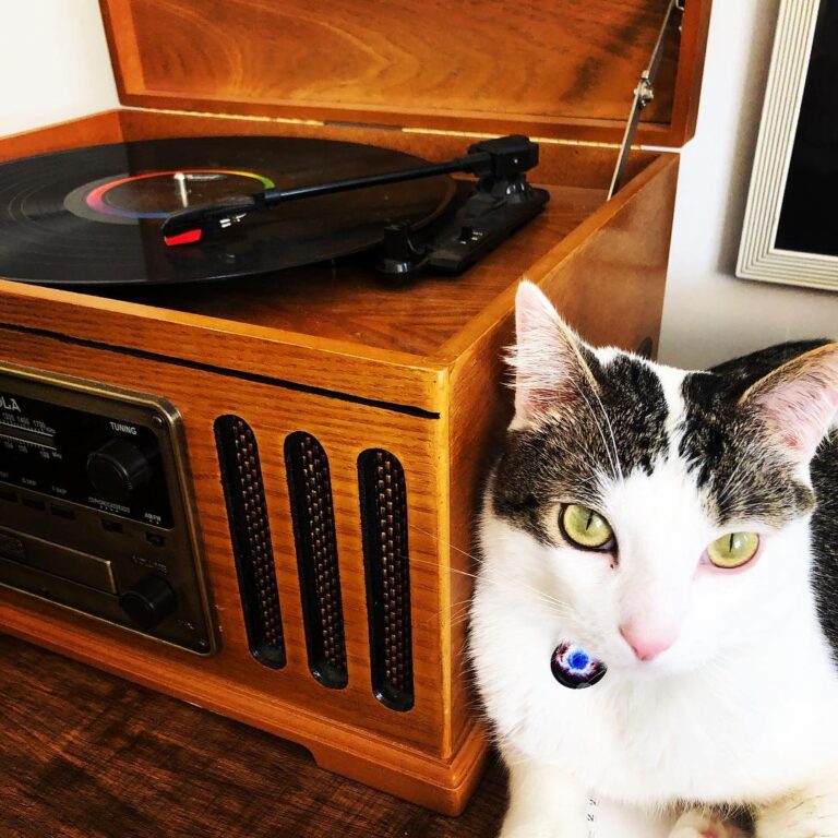 Could I just listen to the Beatles in peace ma?