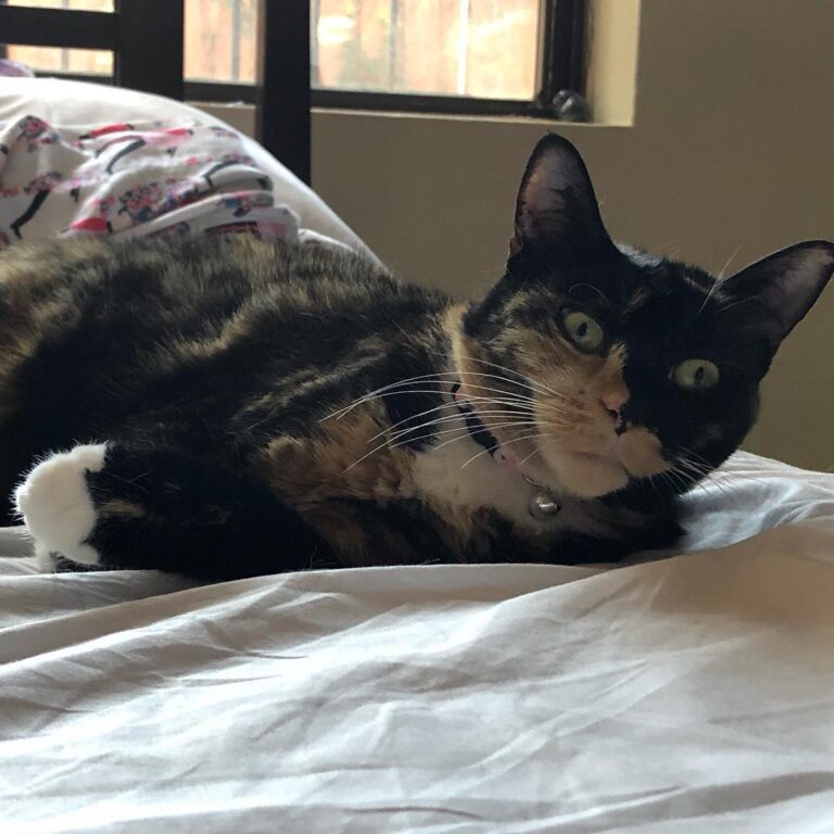 Don’t make me move? It’s Sunday! You go to work, I will be here when