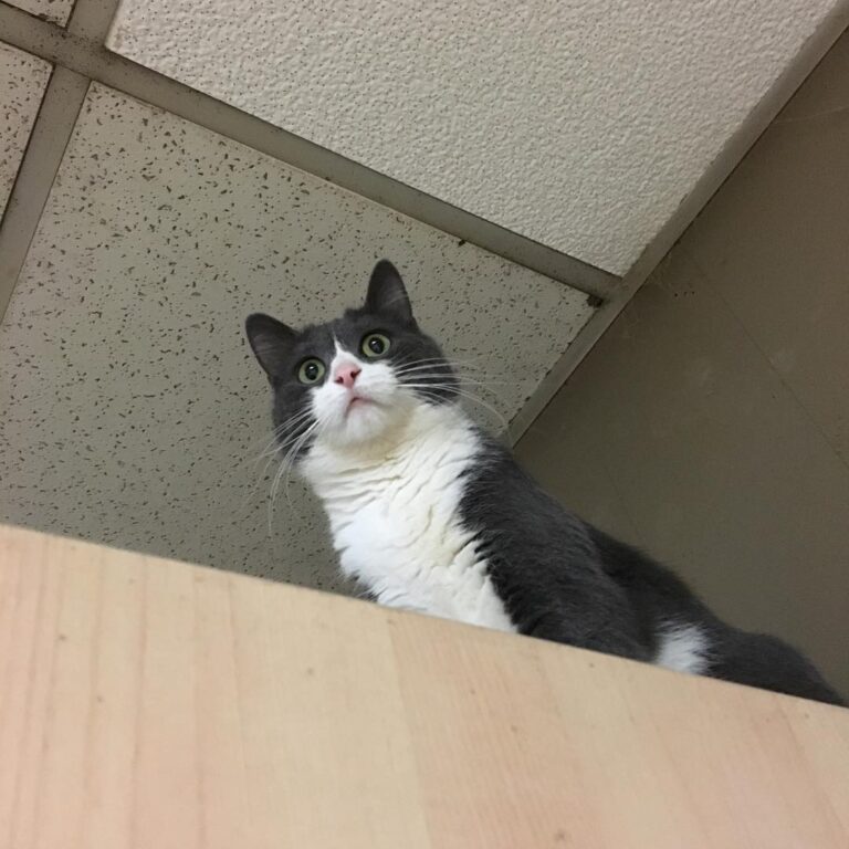 “Everything the dust touches is my kingdom”- Lucy