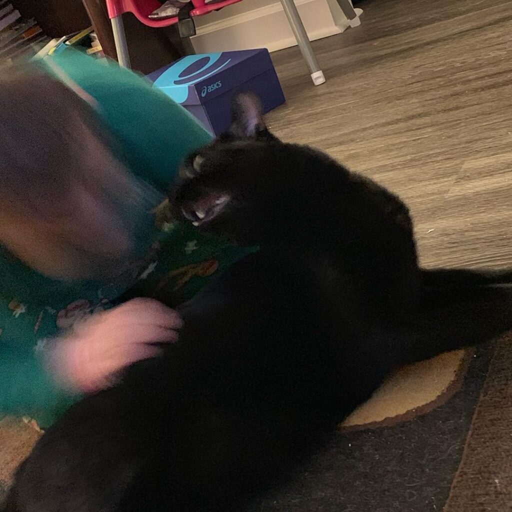 Frank gave everyone his go to gift for Christmas- a laceration