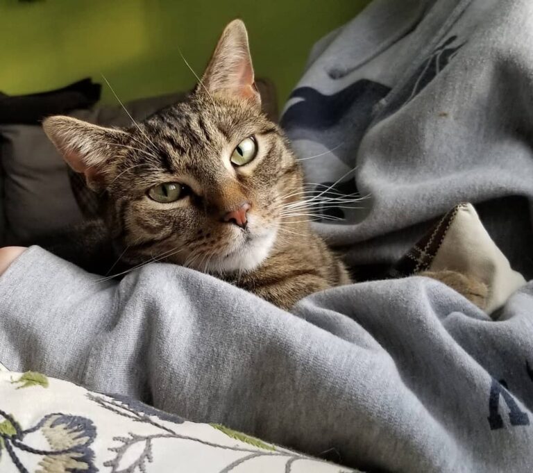 Gene is a big snuggly boy