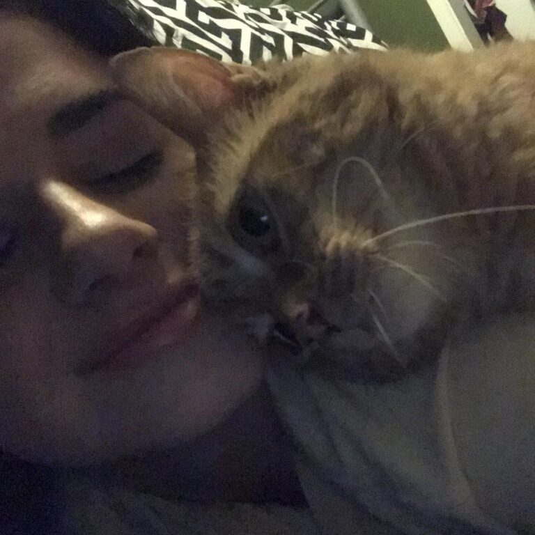 Ginger is such a cuddly cat!
