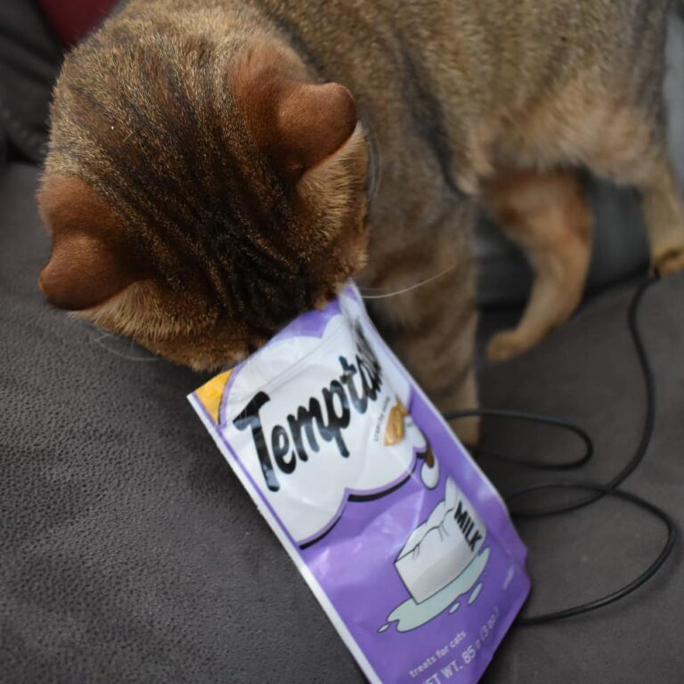 He cant get enough of these treats!