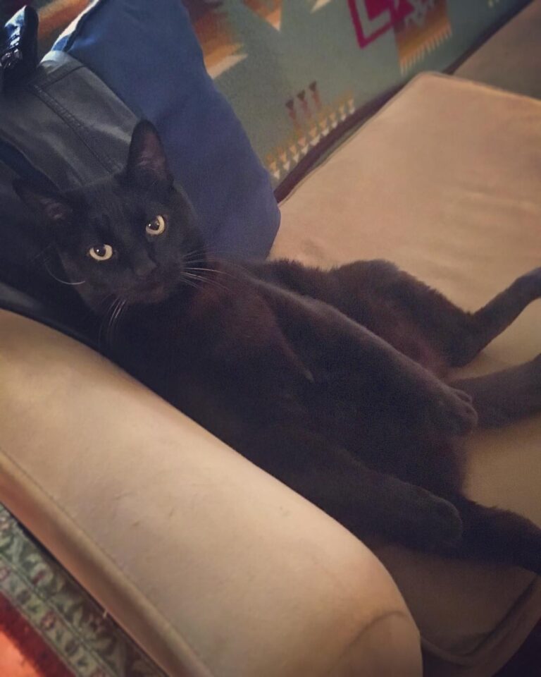 He sat like this for 5 whole minutes and I confused him with my